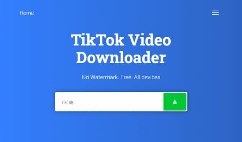 Cara Download Video TikTok Tanpa WM via Snaptik FF Apk