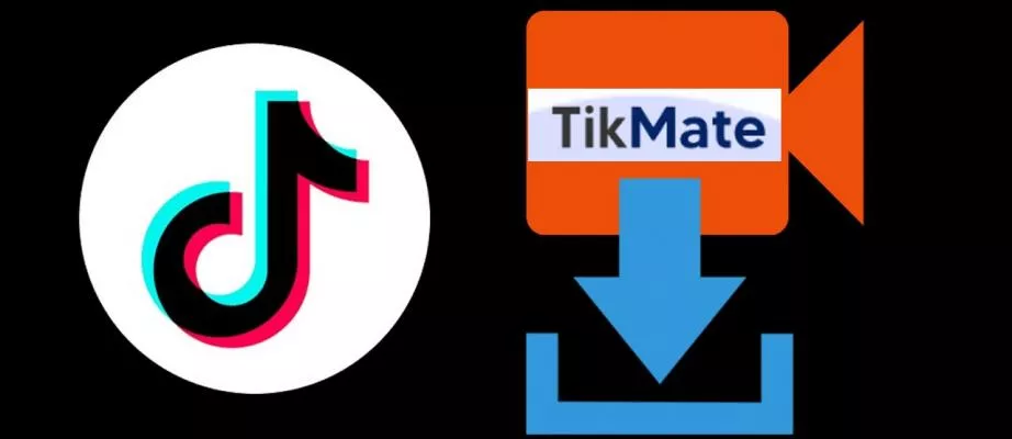 Download Video TikTok Tanpa Watermark di Tikmate